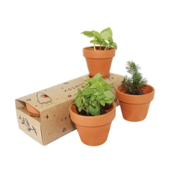 Ceramiczny Ogródek — zestaw trzech doniczek / Ceramika trójpak